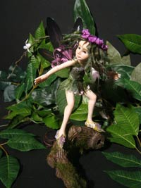 Fairy Fae Alga